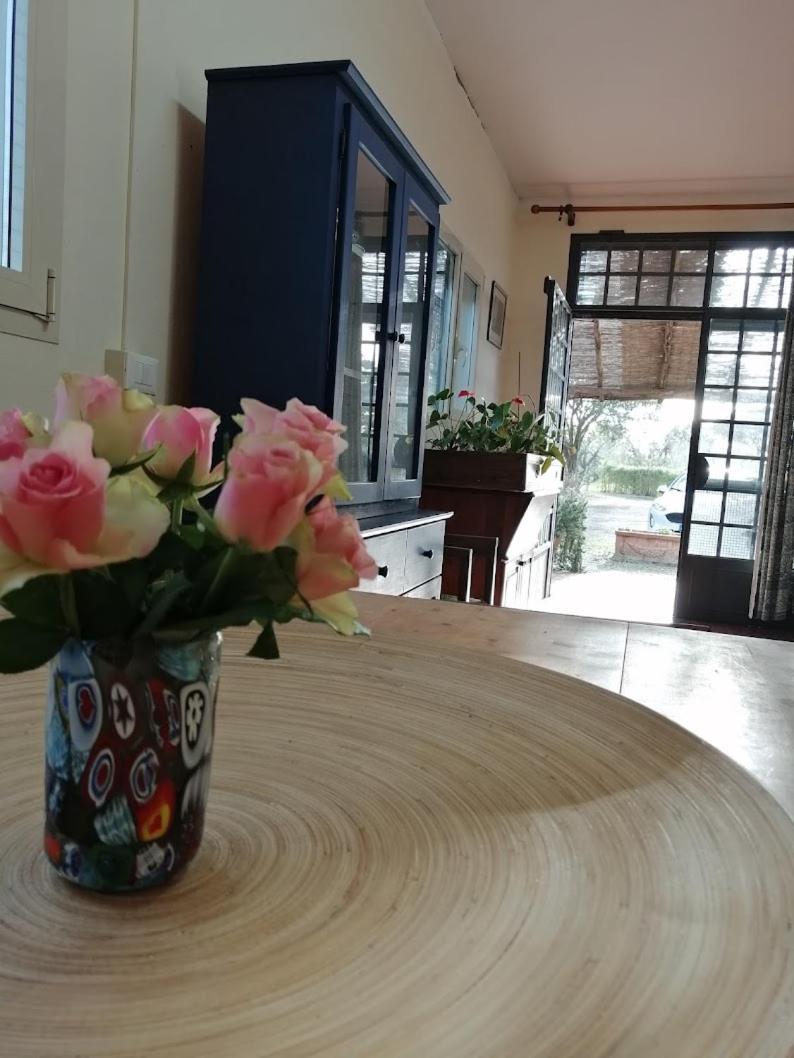 Bb Villa Bolgheri Mare Donoratico Ngoại thất bức ảnh