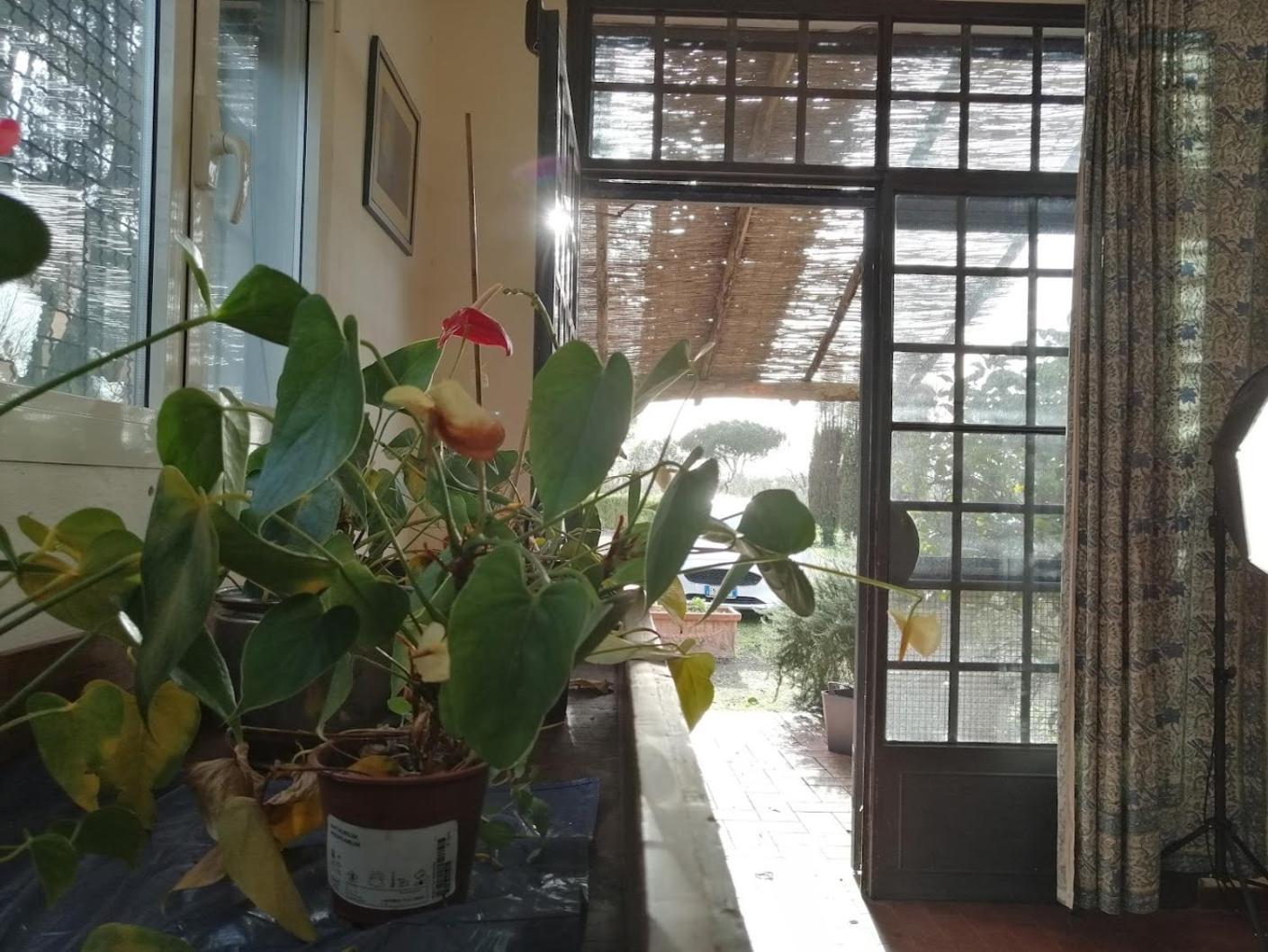 Bb Villa Bolgheri Mare Donoratico Ngoại thất bức ảnh